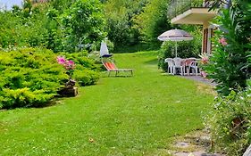Paradise Garden&View